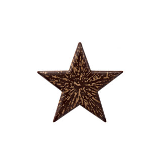 Dark and gold star-shaped chocolate for Christmas cake decorations